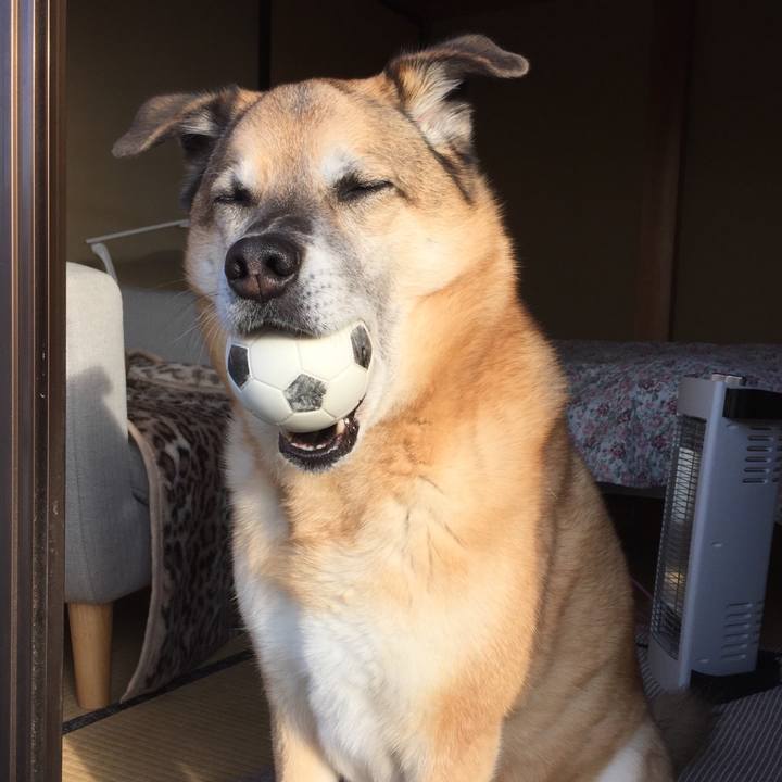 F8f5a4da dd86 4abc 8cd8 b4e9677c765c 1583190459023