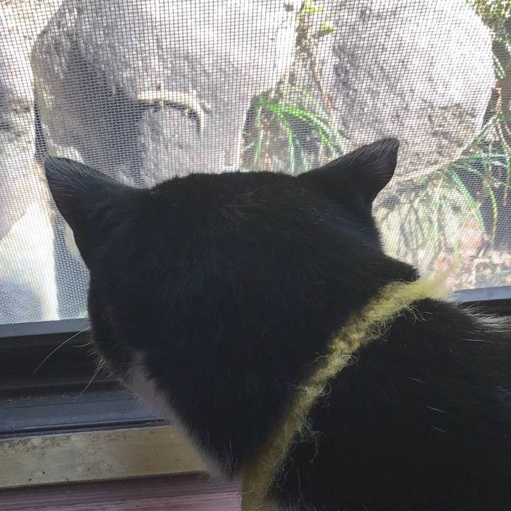 F8f5aa12 a127 4848 a184 84ae6edd4fc2 1649390541341