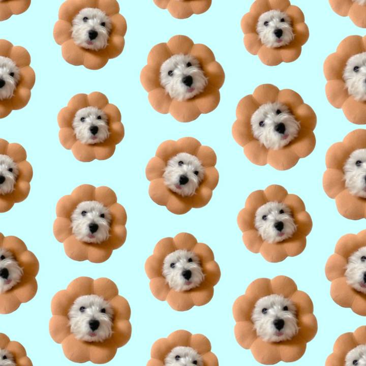 F8f619f2 a459 4013 a433 c976e5535c68 1538300236189