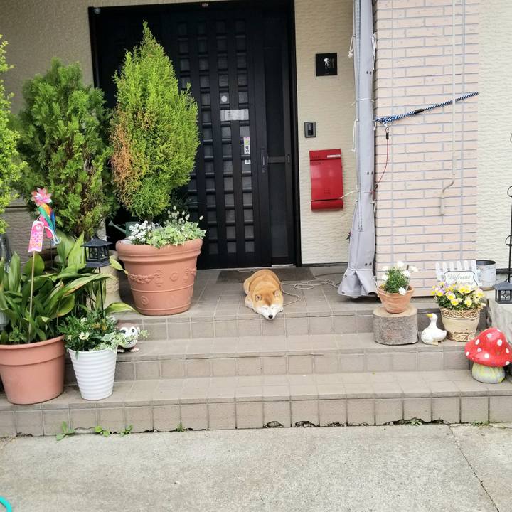 F8f62212 37ae 4b03 96b2 fdb40716674c 1621466412753