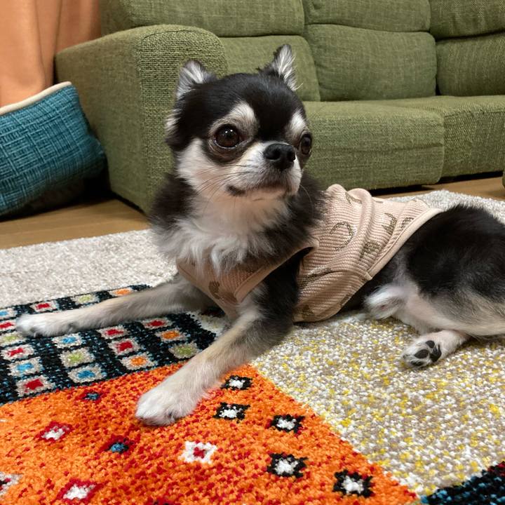 F8f636a4 db90 497a 959f 989bf2f19bb0 1683127126100