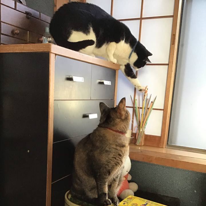 F8f69243 8df9 498e 9988 81c38d8f0d1d 1709022900533