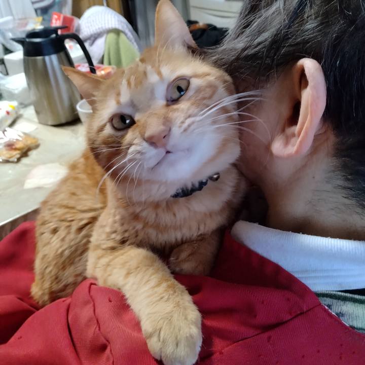 F8f69f07 c491 4277 a4cc 80ea8cf5210b 1710405175582