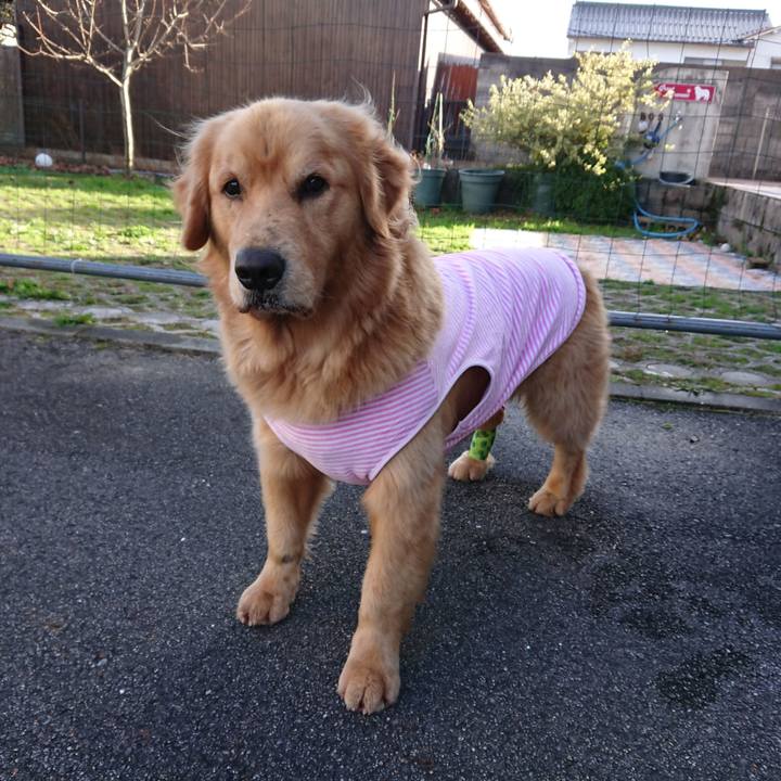 F8f6a063 db34 4ef3 a1bd d63a3cf3499f 1605947837167