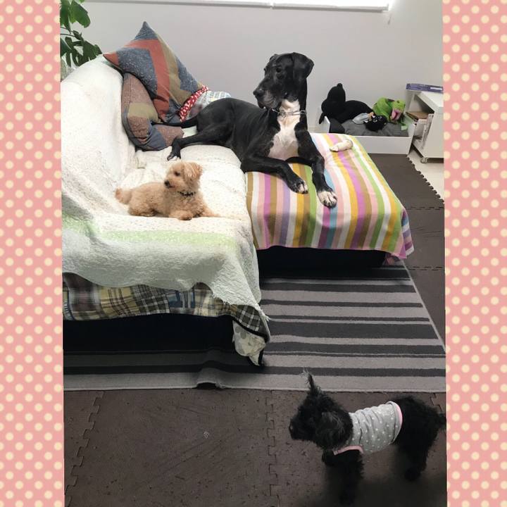 F8f6b3b2 a2d5 416a a334 22a00f5bf972 1528845449250