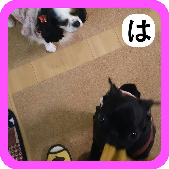 F8f6db60 4f1a 4b28 9a71 098eee75eb11 1514814943996