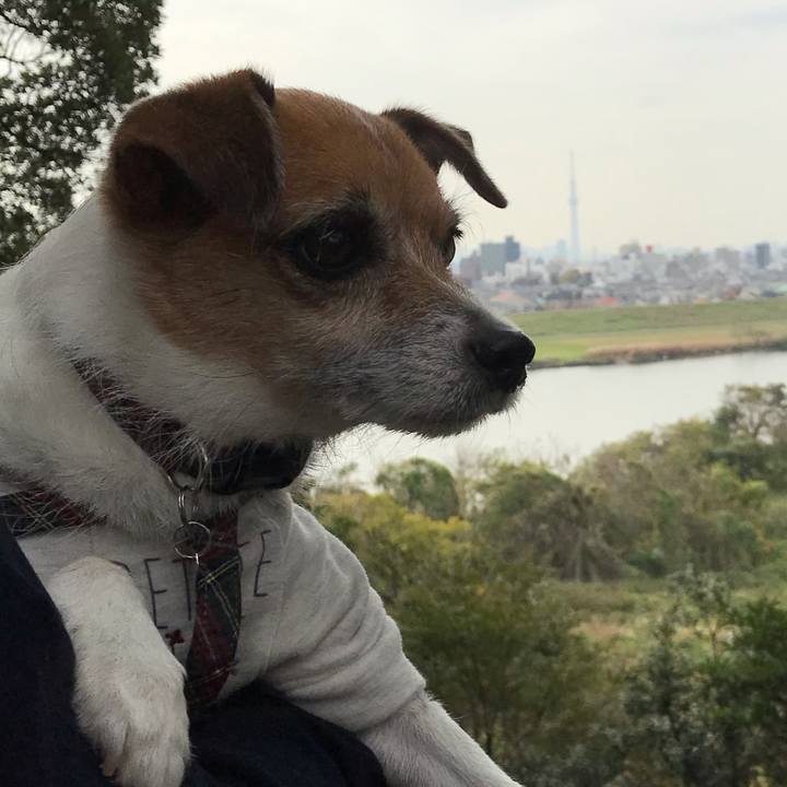 F8f6df67 a96c 4e88 81d4 527d971a524b 1543206681931