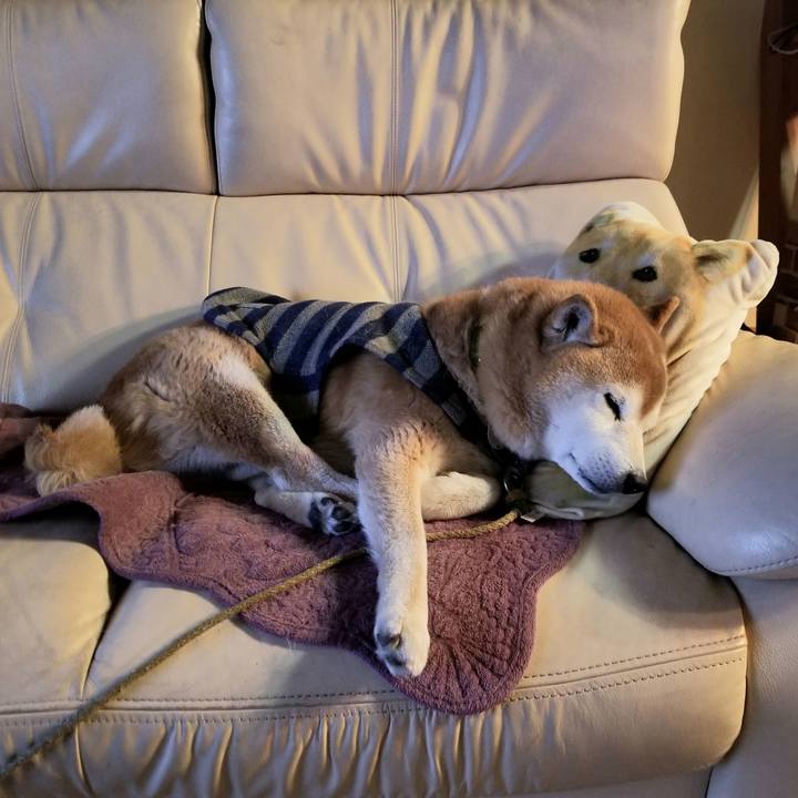 F8f708bd 1d63 40c2 80f6 a6fddcda2fb5 1675077106270