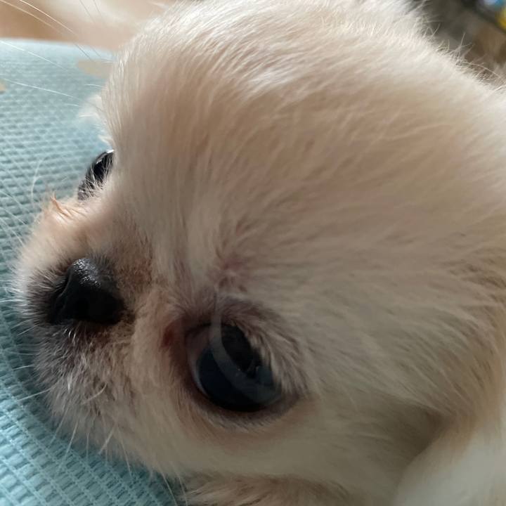 F8f70c22 29d1 4998 a964 4987f0cf4597 1629682644473