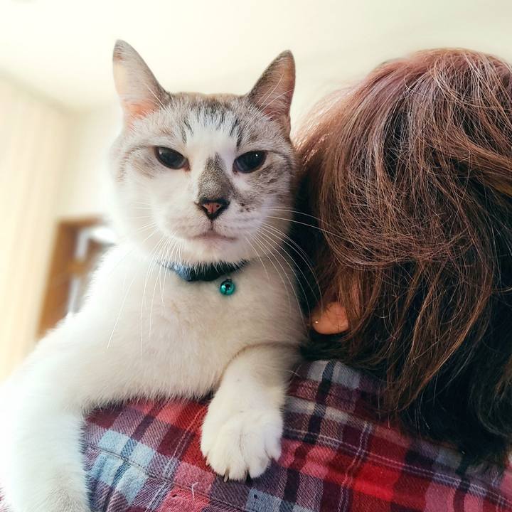 F8f70cc5 82b1 4ef7 823f 1041deeac344 1633683508545