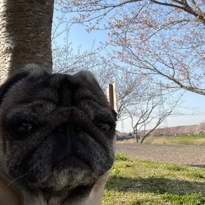 F8f79e88 7616 4e8d b496 f9590af62b93 1616809367515