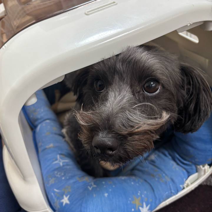 F8f7b0c4 1b2f 42d2 8699 b26339e23e7a 1767158838658