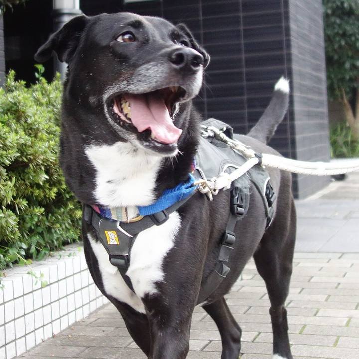 F8f7d5a2 e17a 4e7a 9fe8 bae972402b81 1665279066241