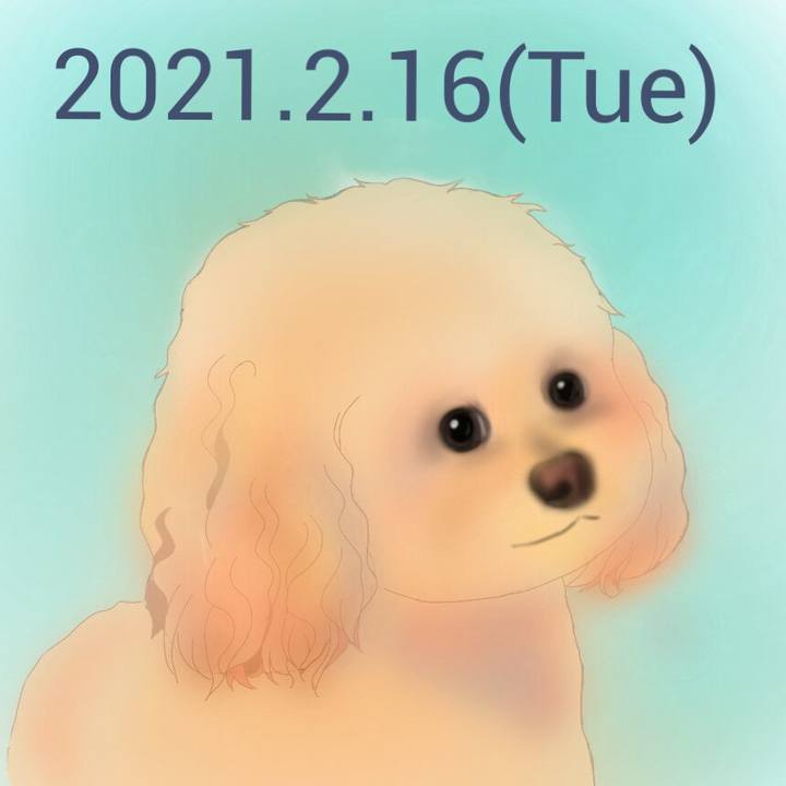 F8f7e505 2e4c 41aa b799 8c764febe353 1613479912651
