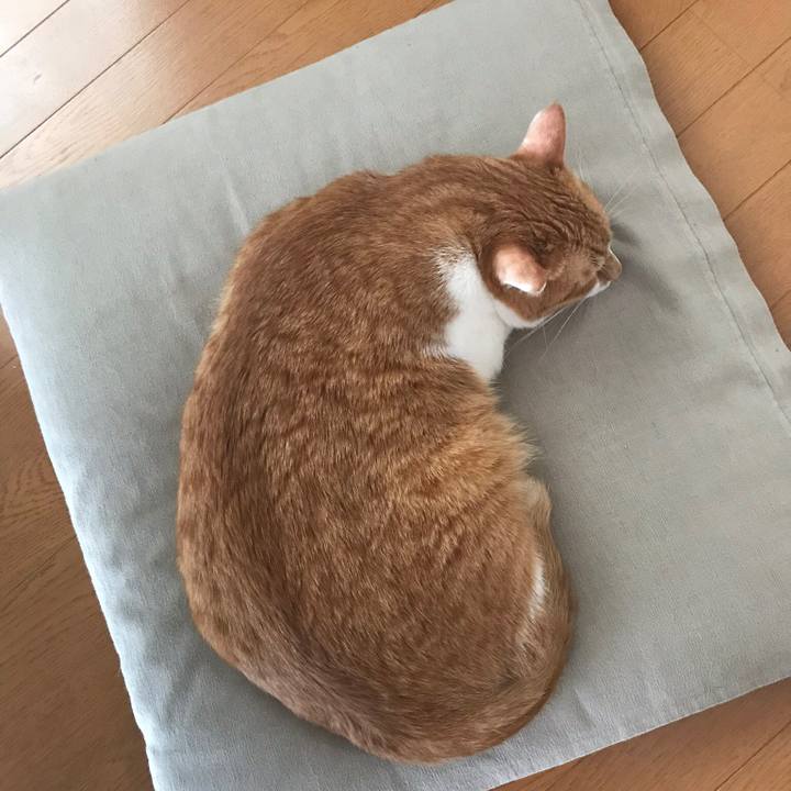 F8f801d9 8fb2 432e bef2 bcba6b7a1307 1554778324444