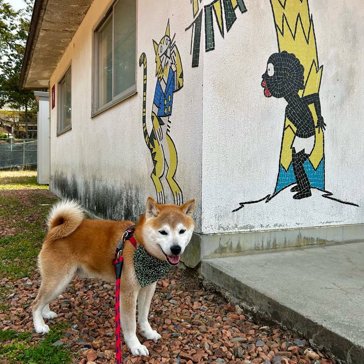 F8f82072 464d 4608 a4ca 5adaa5645959 1713171058463