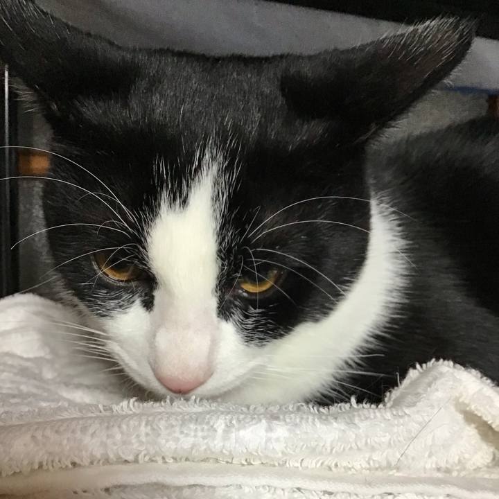 F8f84e61 0301 4284 a05e 2644e8ccdd62 1635642772428