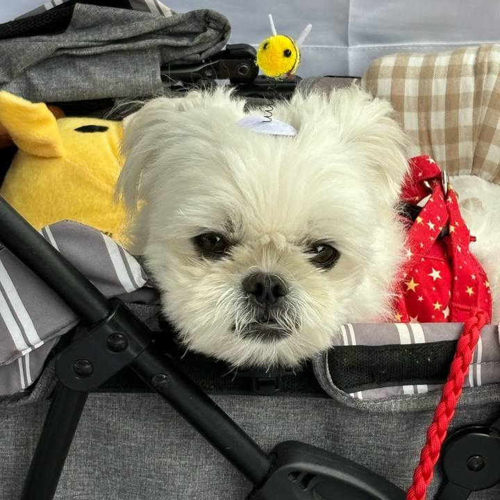 F8f84e70 52c5 498b b306 6860a265c281 1728215115436