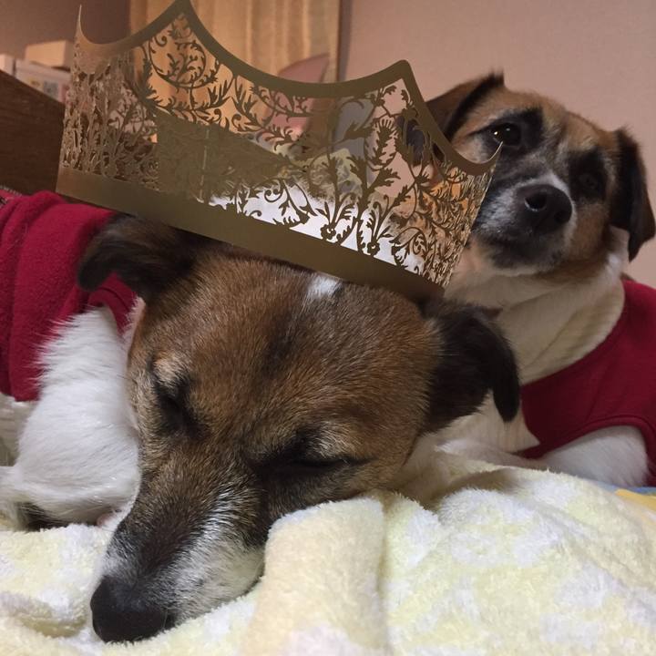 F8f856f9 86ee 4f4c ab50 c686e57011a0 1546445868940