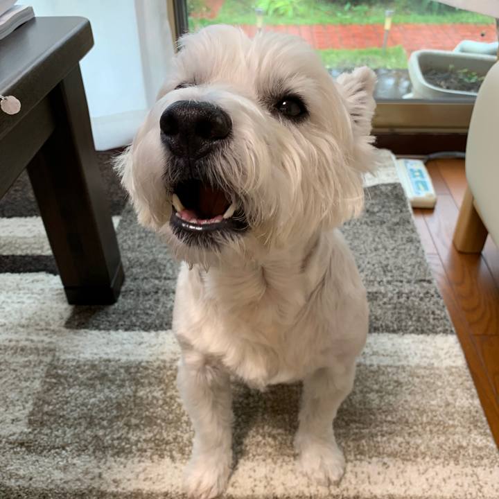 F8f857a9 b7f8 468c 904f 904aa3751c3f 1569799822322