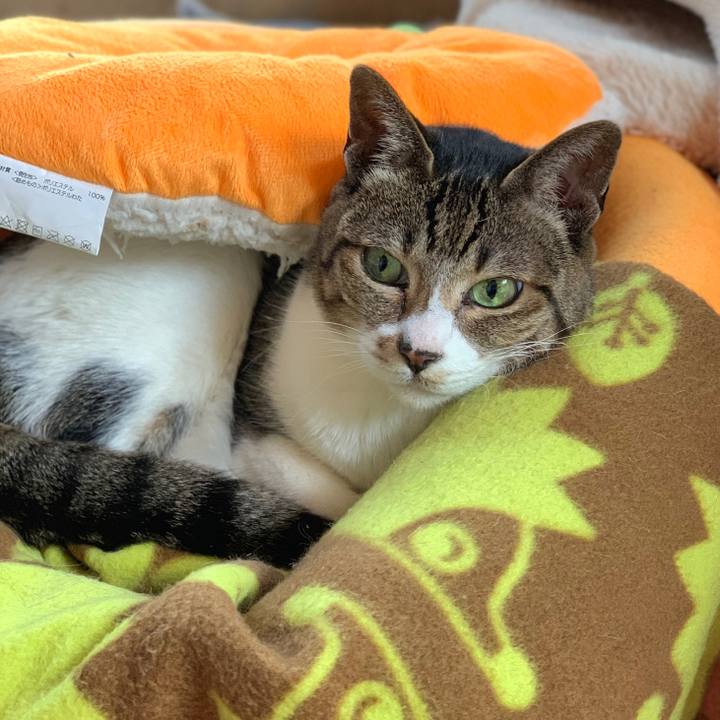 F8f85f61 a559 434e 936e 711d1469a135 1583800801041