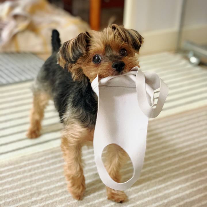 F8f8798b b7dc 40dc b94a b0c4e7c32cea 1627437584282