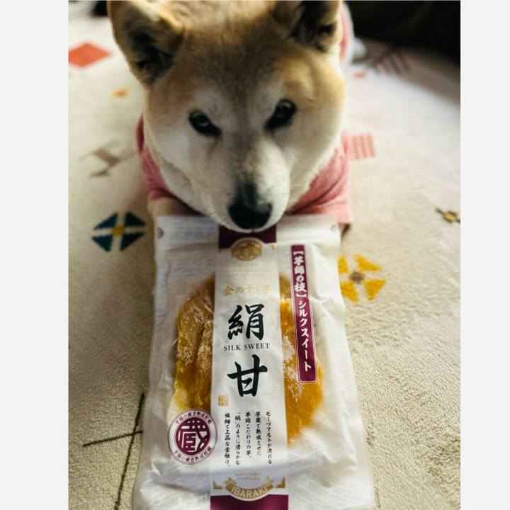 F8f880fe 8c1c 4ad4 ae3c f51114b72871 1741674297177