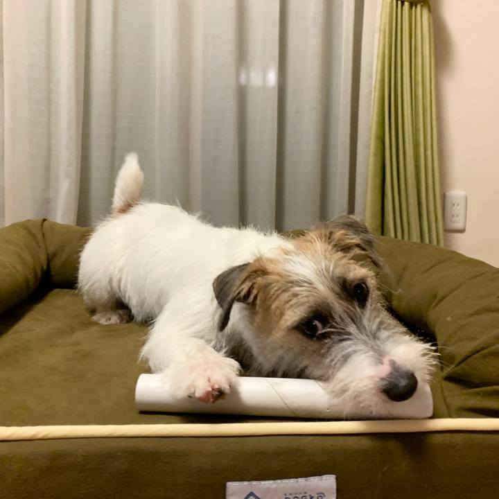 F8f88d67 7466 4a76 9cef b77779794cce 1570879799999