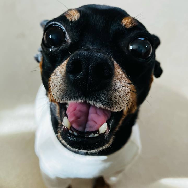 F8f8b811 1465 4277 ab80 cf6188129b5b 1750109904709