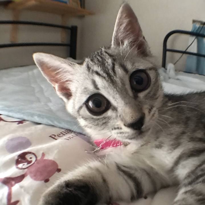 F8f8bc71 c6ea 4eea bd21 b463233dd228 1563524404280