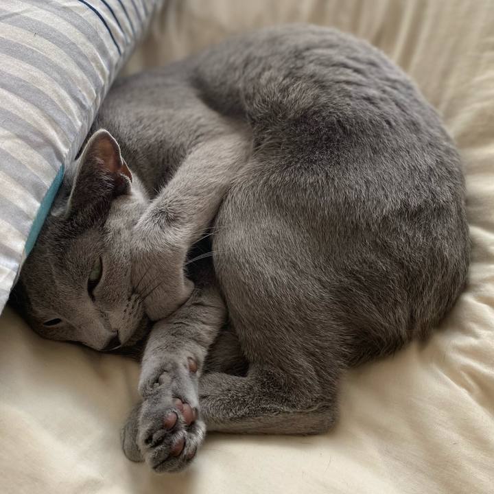 F8f8d52e 6b5f 4c63 ae75 8f4e50ace98b 1634188899324