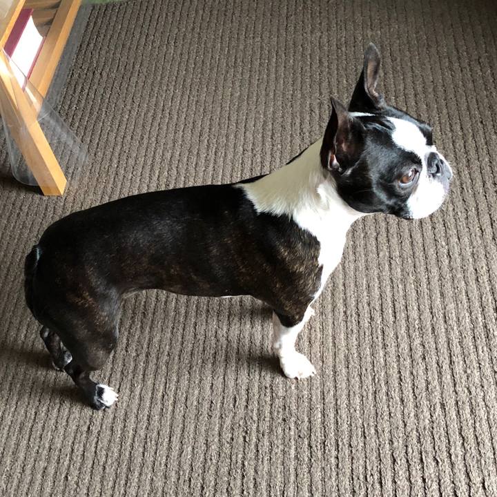 F8f9005c eb51 424f a1c8 0e371ecd224f 1558421030706