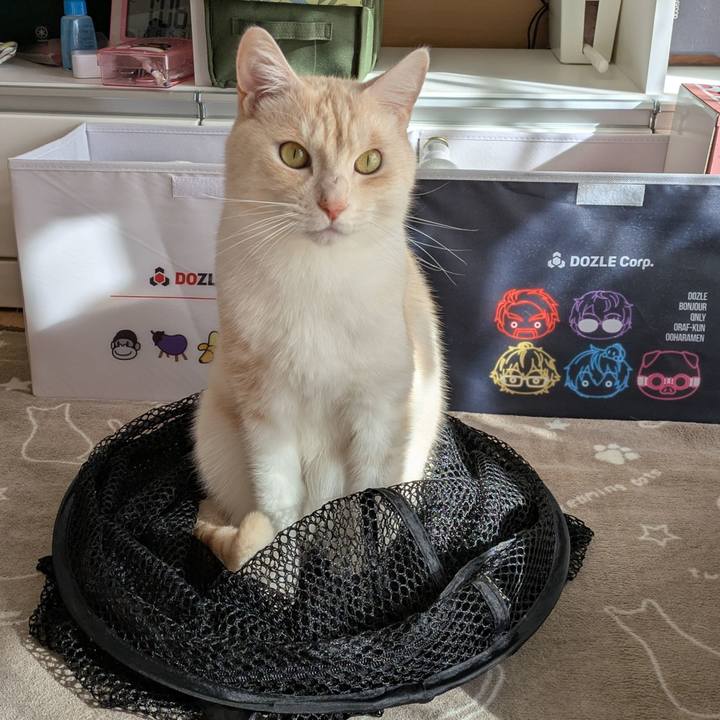 F8f9014e 5890 465d 9c2b 986ec43a847d 1737260092059