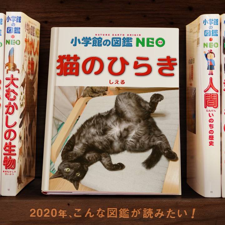 F8f90d1c 9bc4 43c7 bfc7 0e22b8b39839 1578282734378