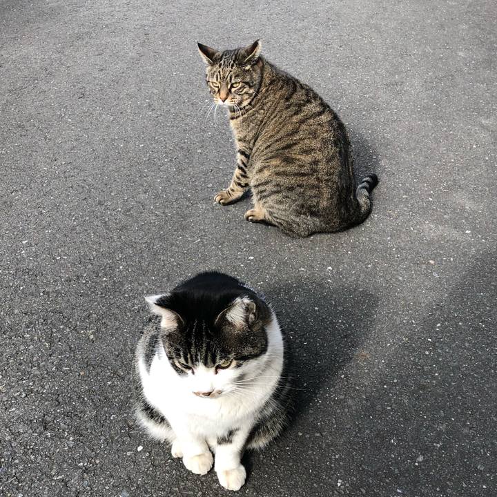 F8f951bf 2082 4bff a234 e6a54f3f665a 1546239364020