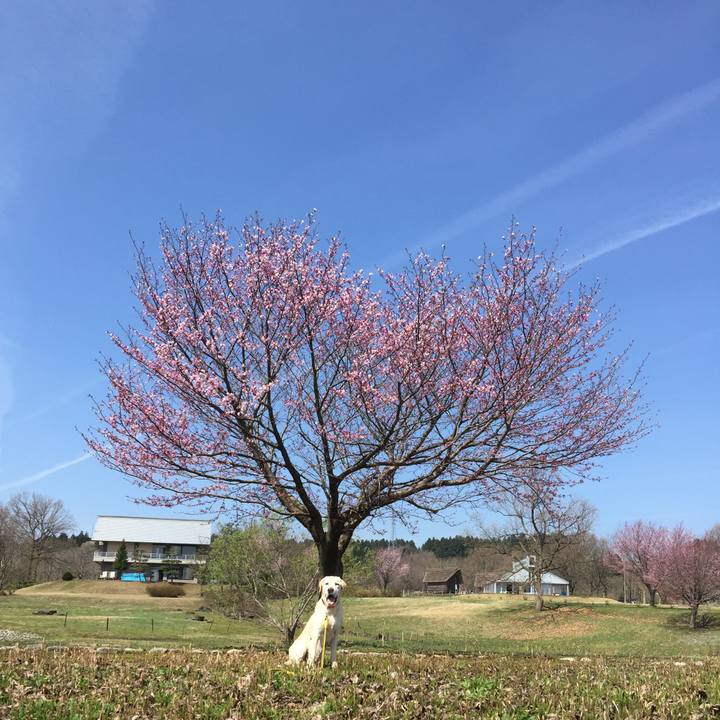 F8f9aafd 67a1 46df a8e7 ff78d30f95c7 1618182109774