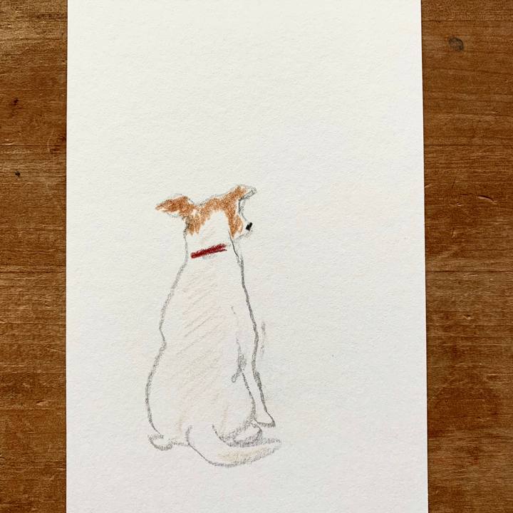 F8f9b47c c321 4ad7 af28 1b7a1553c3d8 1600044231242