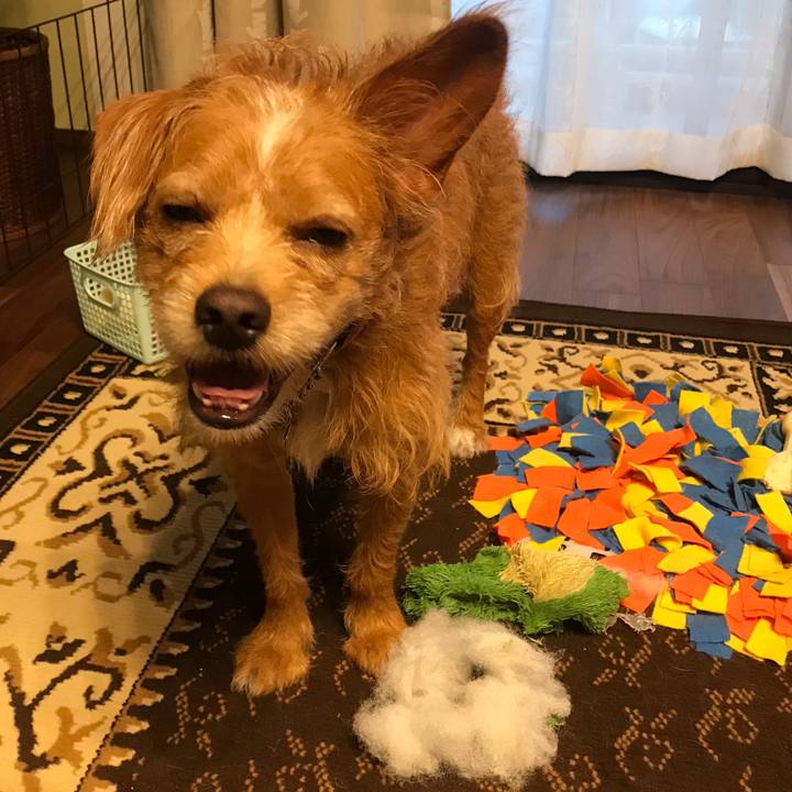 F8f9b51b b5be 407e bc90 5a672944795a 1596327579279