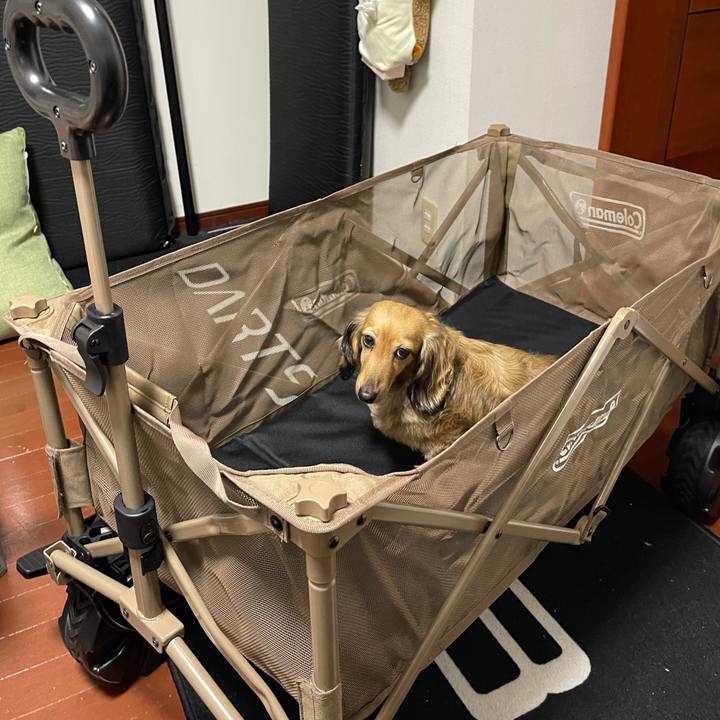 F8f9b78c deec 4bda a48e bb27406bbd56 1759245470622