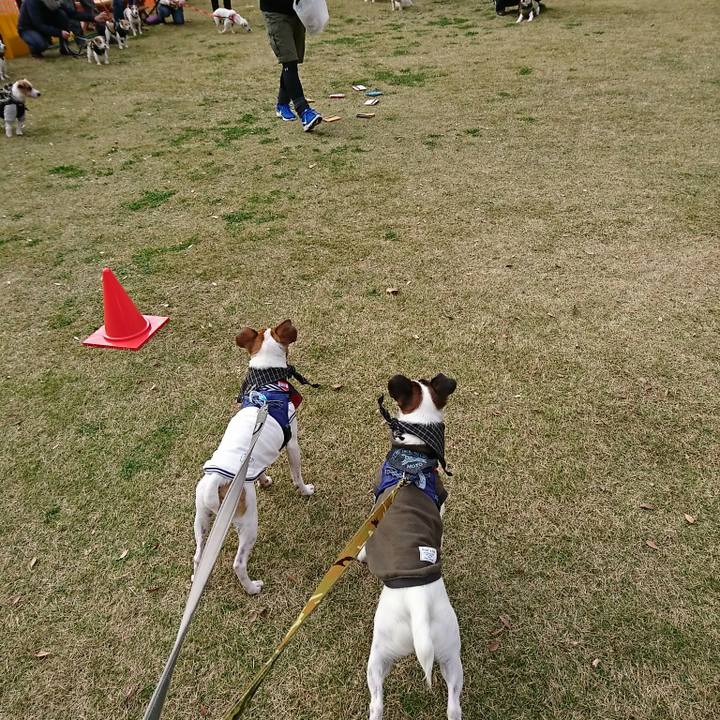 F8f9c5ca dc33 4539 8703 65d132ae220f 1543025834910