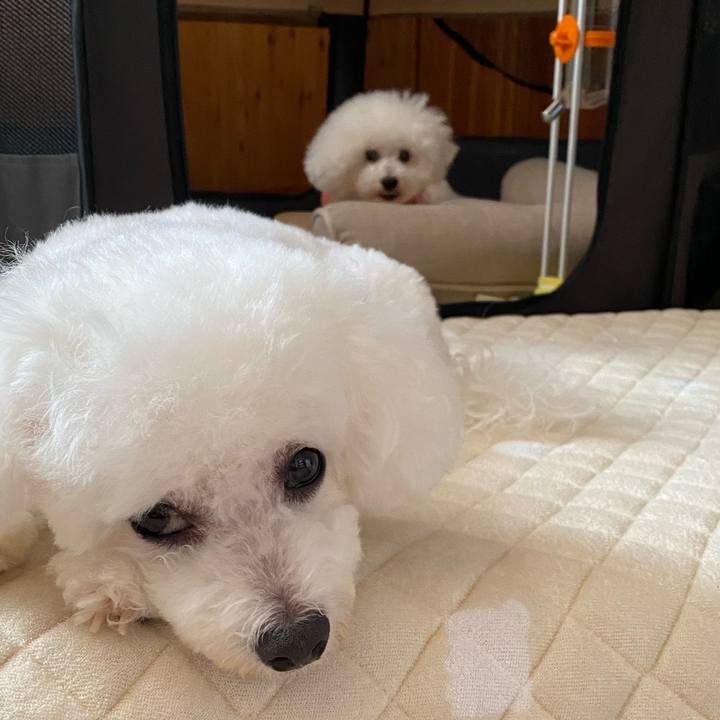 F8f9e437 ce99 4950 832d 17c95fcca8fe 1692581522561