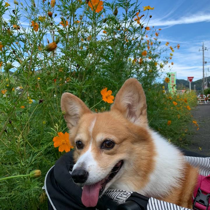 F8fa05d3 b73a 481d a657 80705657d0a8 1694046539482