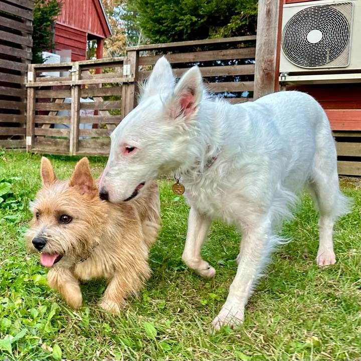 F8fa2145 5f69 4a90 adcc 3eb19d57b467 1730695195413