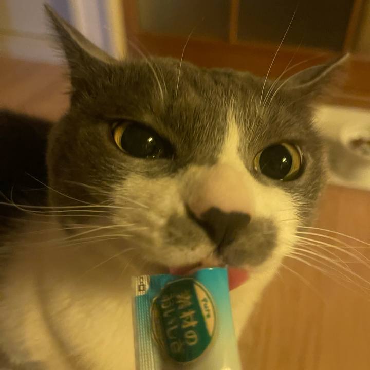 F8fa9d14 57d6 4ce1 9539 09ea386155c6 1709621609661