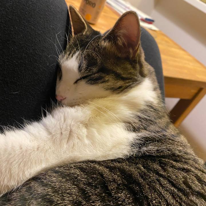 F8faa3af c313 4d98 a11a dca863ac010f 1580130456481