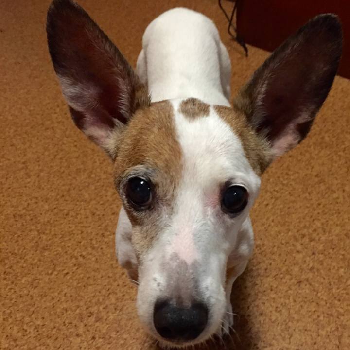 F8fae49d 41f5 47a1 a1d7 927fe31dbd6c 1614159736127