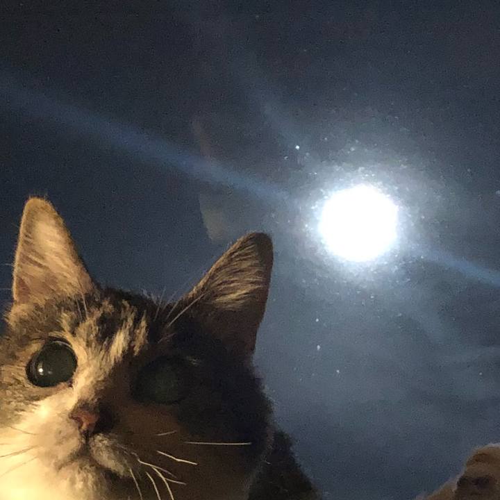 F8fb065e a761 4fcb a660 f641d798db6d 1530193248651