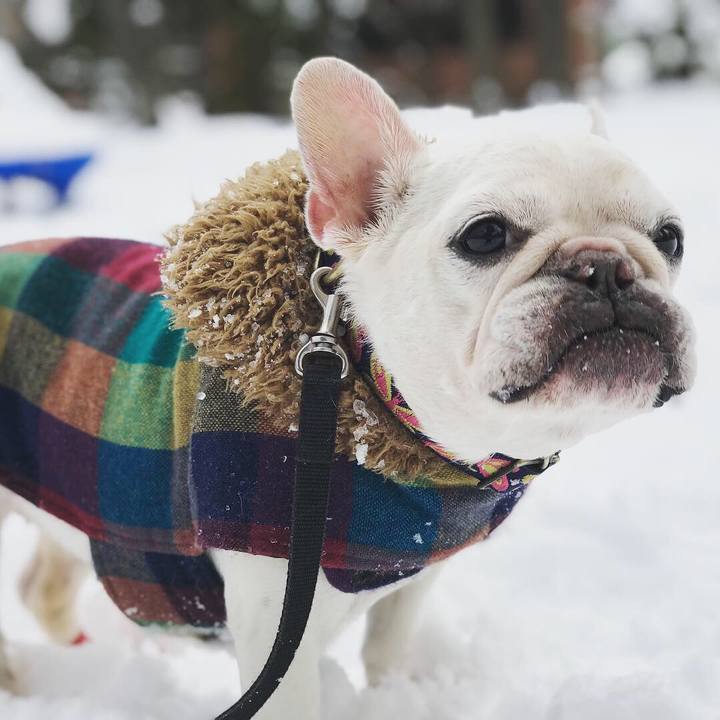 F8fb1b63 5622 4198 9662 55bdfdcb5a38 1545628094867