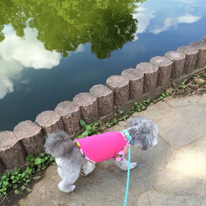 F8fb283f f8b8 4386 b585 018a36bee9e7 1756773825673