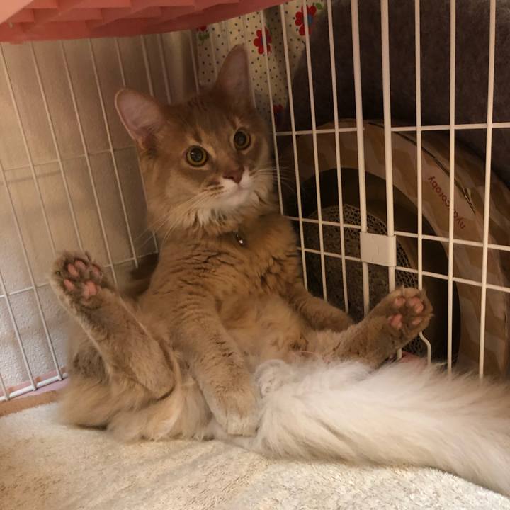 F8fb3095 7220 49f1 bf75 b3dacb5c6fb7 1564101238987